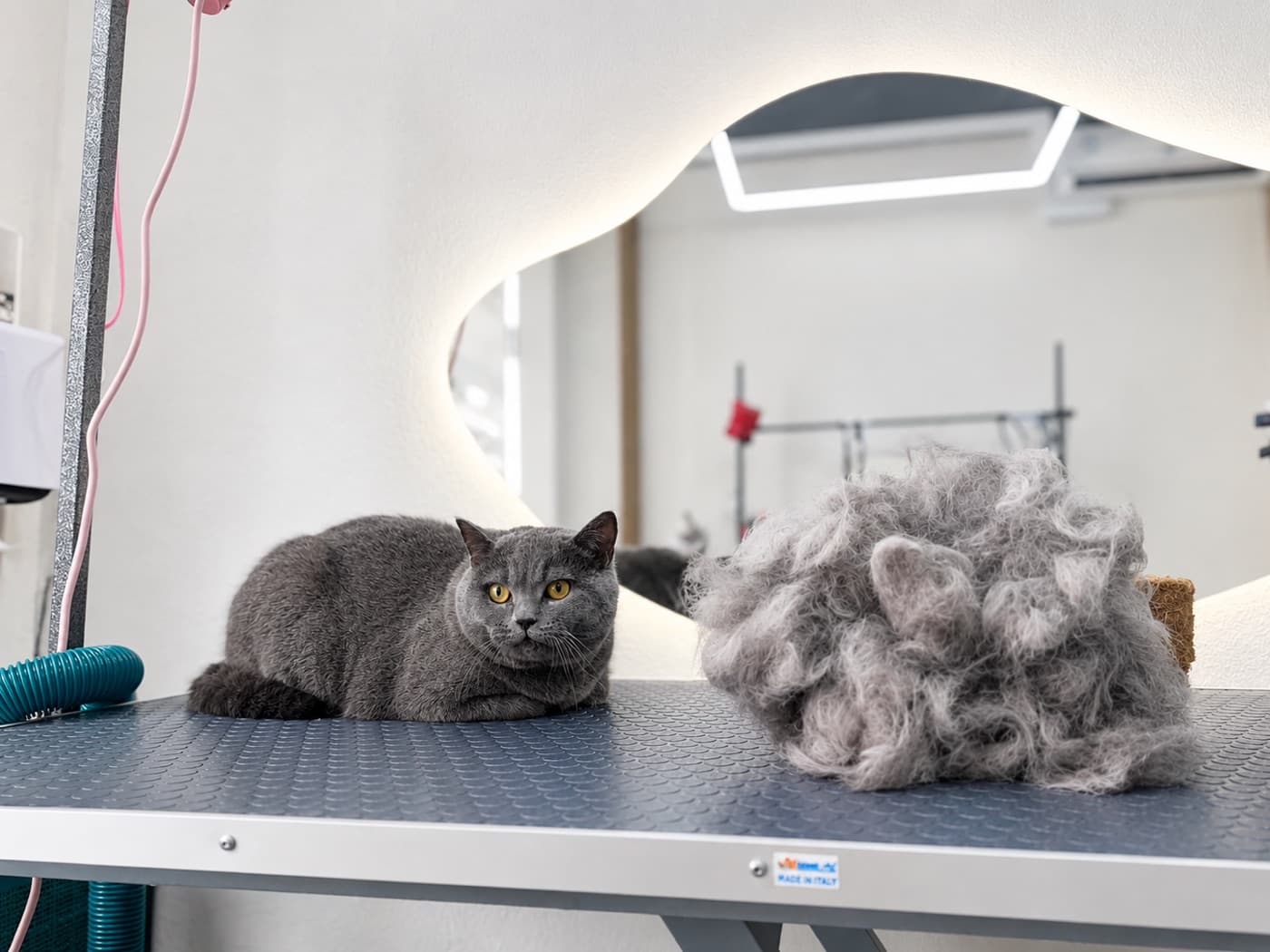 Груминг кошек